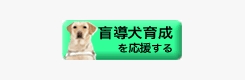 日本盲導犬協会