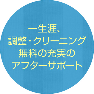 一生涯、調整・クリーニング、無料の充実のアフターサポート